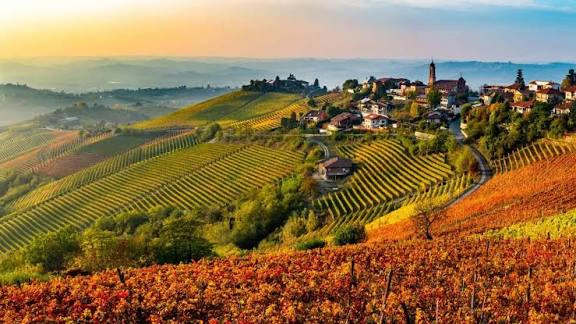 Colline e vigneti delle Langhe da esplorare