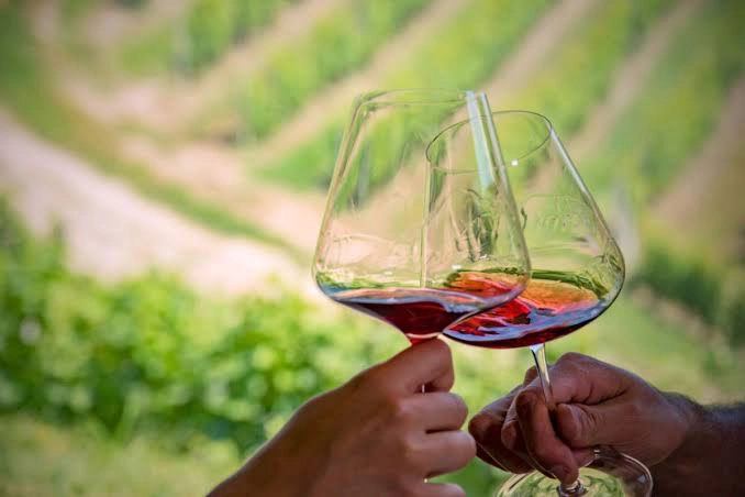 Calici di vino tra i vigneti delle Langhe