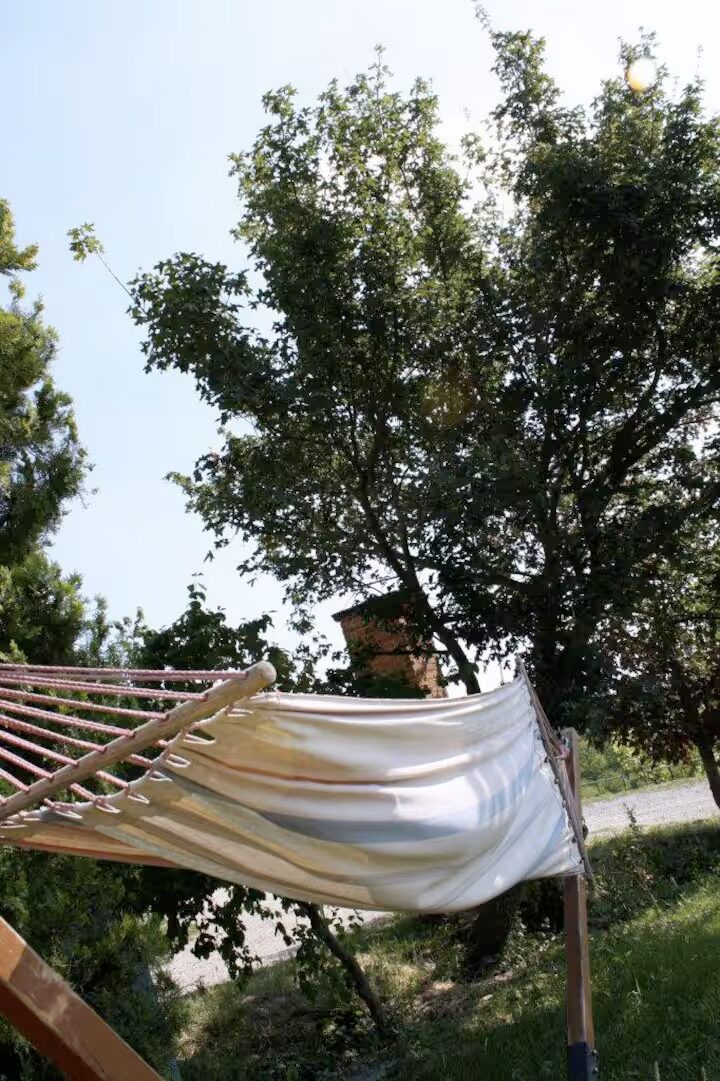 Un'amaca tra gli alberi