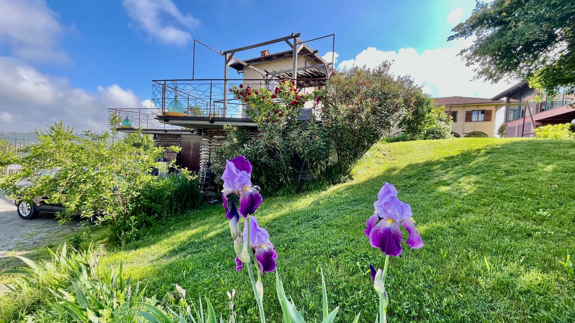 Iris in fiore davanti alla cascina