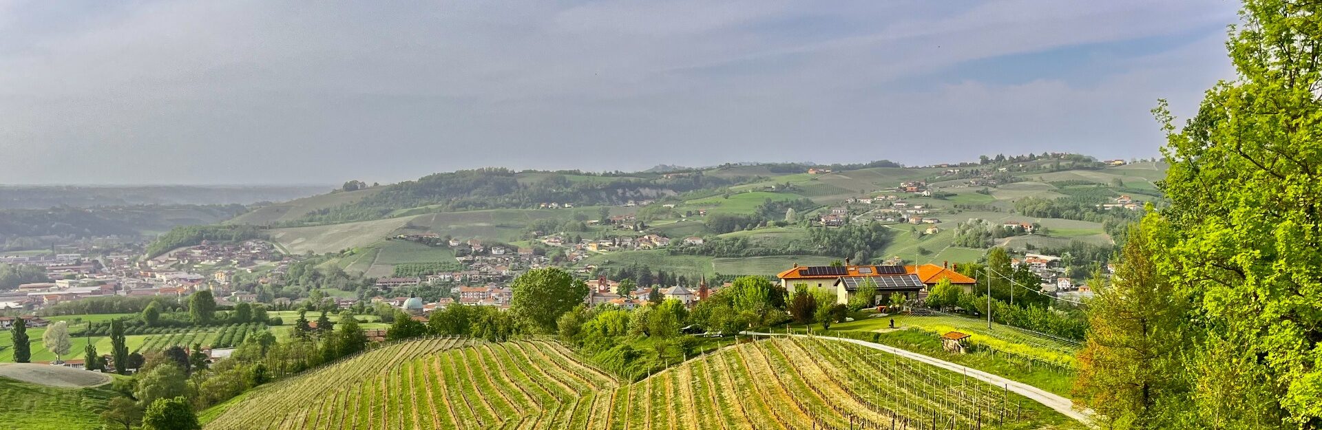 Panorama sulle colline delle Langhe e Dogliani