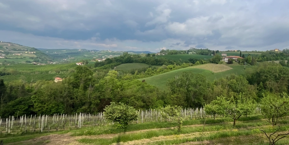 Colline, filari e cielo di passaggio nelle Langhe